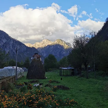 Guest house Mehmeti *